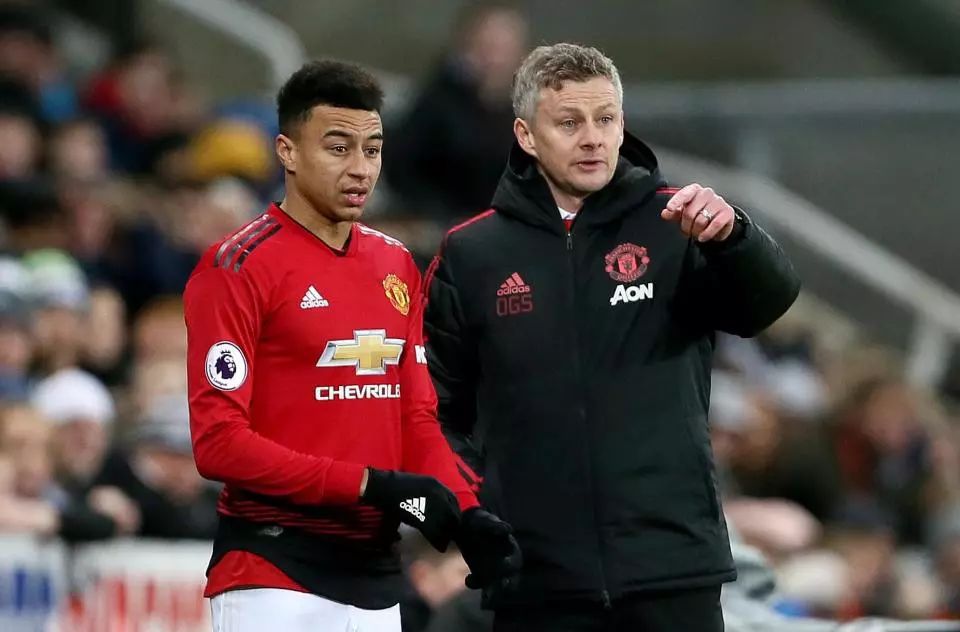 发展的潜力 发展的潜力